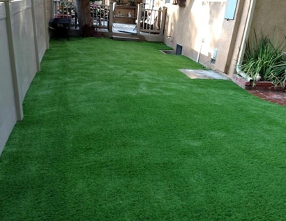 Artificial Grass Carpet Burton, Michigan Backyard Playground, Backyard