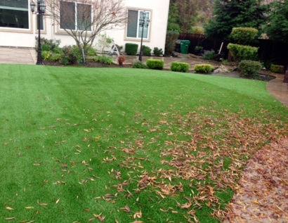 Artificial Grass Carpet La Verne, California Lawn And Garden, Backyard Design