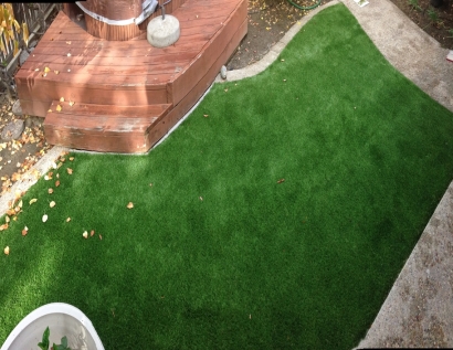 Artificial Grass Carpet New Bern, North Carolina Roof Top, Backyard Design