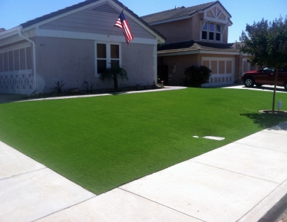 Artificial Grass Carpet Urbana, Illinois Backyard Playground, Front Yard Ideas