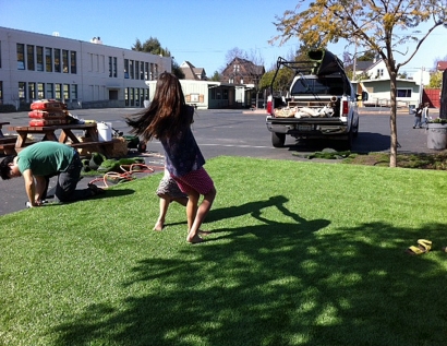 Artificial Grass Carpet Urbandale, Iowa Lawn And Garden, Commercial Landscape