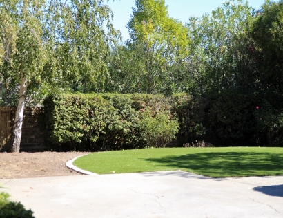 Artificial Grass Installation Greenville, Mississippi Landscape Photos, Backyard Designs