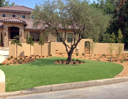 Artificial Grass Installation Lacey, Washington Roof Top, Landscaping Ideas For Front Yard