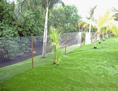 Artificial Grass Installation Rock Island, Illinois Lawn And Landscape, Backyard Makeover