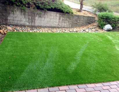 Artificial Grass Springfield, Virginia Landscape Design, Landscaping Ideas For Front Yard