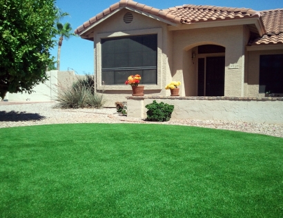 Artificial Lawn Galesburg, Illinois Backyard Playground, Front Yard Landscaping Ideas