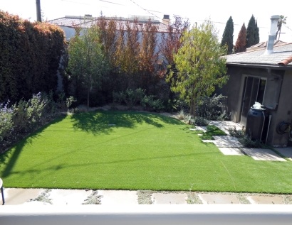 Artificial Lawn Keizer, Oregon Landscape Design, Backyard Garden Ideas