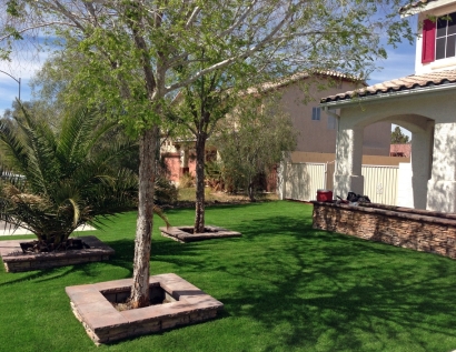 Artificial Lawn Riverton, Utah Gardeners, Front Yard Ideas