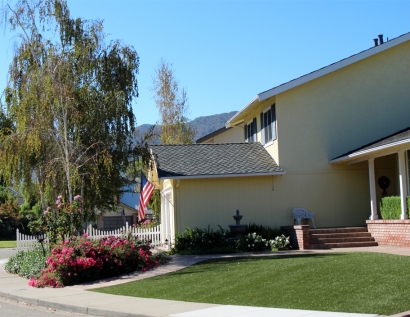 Artificial Lawn Winter Garden, Florida Landscape Photos, Front Yard Design