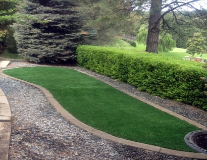 Artificial Turf Cost Brentwood Estates, Tennessee Home And Garden