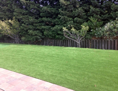 Artificial Turf Cost La Porte, Texas Lawn And Garden, Backyard Garden Ideas