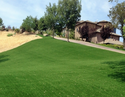 Artificial Turf Cost Littleton, Colorado Landscape Rock, Front Yard