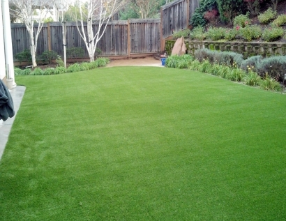 Artificial Turf Installation Lincoln Park, Michigan Design Ideas, Backyard Makeover