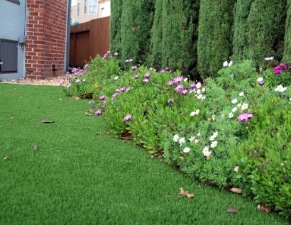 Artificial Turf Installation Orcutt, California Landscape Design, Landscaping Ideas For Front Yard