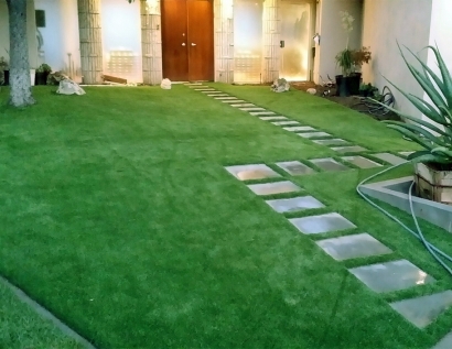 Artificial Turf Plant City, Florida Landscaping, Landscaping Ideas For Front Yard