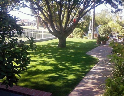 Best Artificial Grass Florence, South Carolina Landscape Design