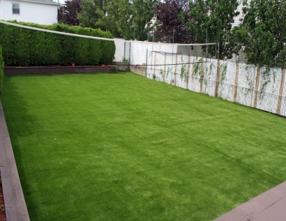 Best Artificial Grass La Puente, California Landscape Design, Backyard Landscaping Ideas