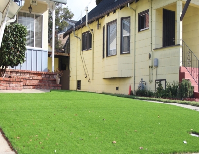 Best Artificial Grass West Lafayette, Indiana Gardeners, Front Yard