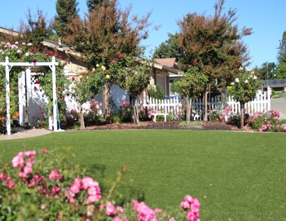 Best Artificial Grass Wildomar, California Rooftop, Front Yard