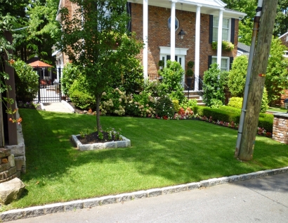 Fake Grass Carpet Culver City, California Gardeners, Front Yard Landscaping