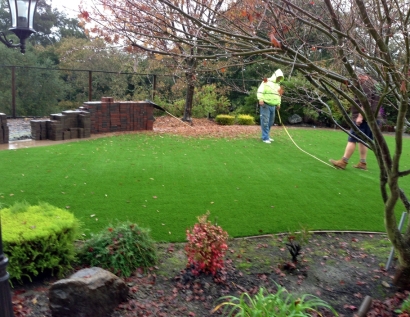 Fake Grass Carpet Mount Lebanon, Pennsylvania Landscape Design, Backyard Landscape Ideas