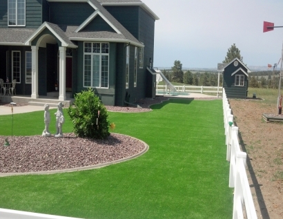 Fake Grass Carpet Park Ridge, Illinois Garden Ideas, Small Front Yard Landscaping