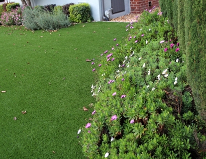 Fake Grass Carpet Schererville, Indiana City Landscape, Front Yard Ideas