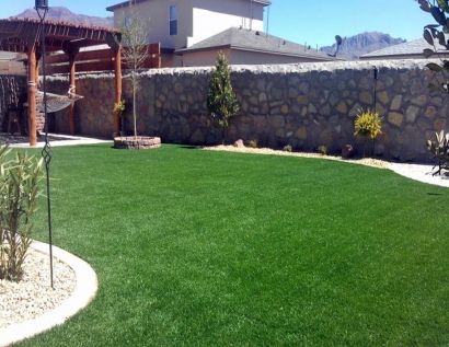 Fake Grass Spartanburg, South Carolina Design Ideas, Backyard Makeover