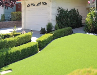 Fake Grass West Lake Sammamish, Washington City Landscape, Landscaping Ideas For Front Yard