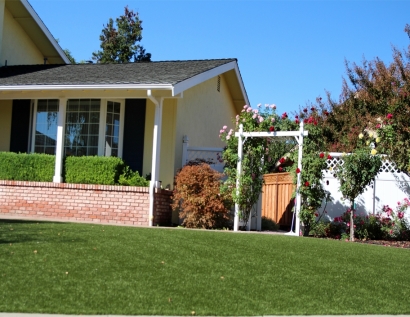 Fake Lawn Delaware, Ohio Landscaping Business, Landscaping Ideas For Front Yard