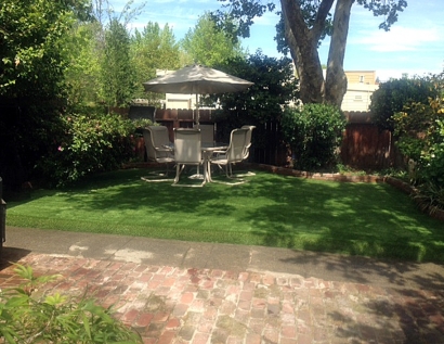 Fake Lawn Gurnee, Illinois Landscape Rock, Backyard Ideas