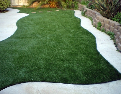 Fake Lawn University City, Missouri Design Ideas, Backyard Landscaping