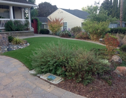 Fake Turf Algonquin, Illinois Landscaping Business, Front Yard Design