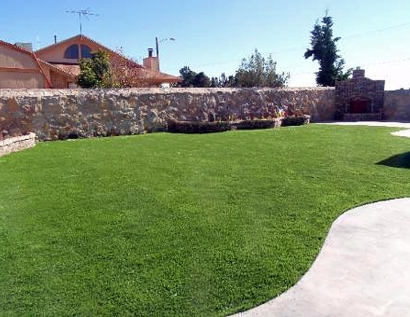 Fake Turf Dania Beach, Florida Home And Garden, Backyard Designs