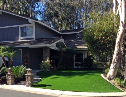 Fake Turf Gillette, Wyoming City Landscape, Front Yard Ideas