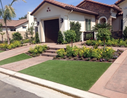 Fake Turf Indian Trail, North Carolina Gardeners, Front Yard Landscape Ideas