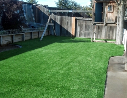 Fake Turf Marana, Arizona Paver Patio, Backyard