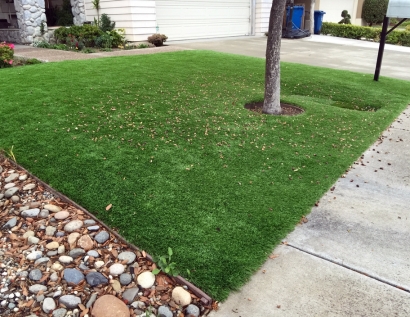 Faux Grass Oak Ridge, Tennessee Lawn And Landscape, Front Yard Landscape Ideas