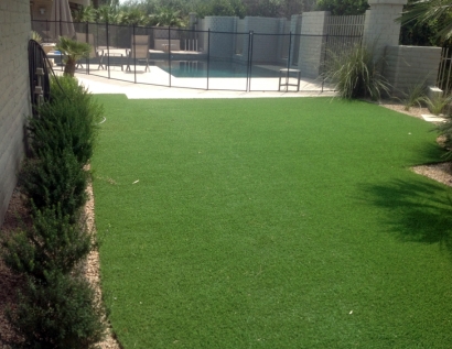 Grass Carpet Goshen, Indiana Garden Ideas, Backyard Design