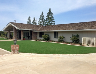 Grass Carpet Midland, Michigan Landscaping, Front Yard Landscaping Ideas