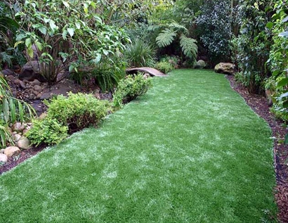 Grass Carpet Ponte Vedra Beach, Florida Landscape Rock, Backyards