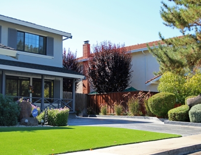 Grass Carpet Port Huron, Michigan Landscaping, Front Yard Design