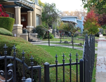 Grass Carpet Saratoga, California Garden Ideas, Front Yard Landscaping