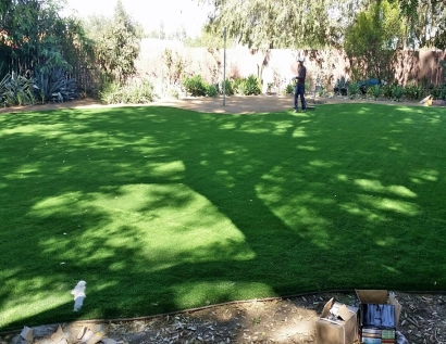 Grass Carpet West Little River, Florida Rooftop, Small Backyard Ideas