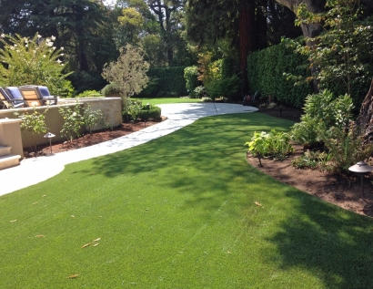 Grass Carpet Wilkes-Barre, Pennsylvania Landscaping, Backyard Garden Ideas