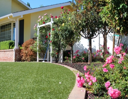 Grass Turf Derry Village, New Hampshire Roof Top, Front Yard Landscaping Ideas