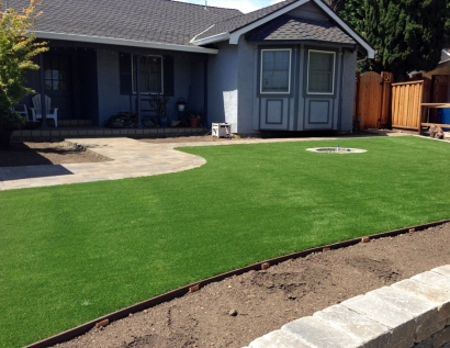 Grass Turf Fond du Lac, Wisconsin Landscape Ideas, Front Yard Ideas