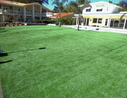 Grass Turf Muskogee, Oklahoma Landscape Ideas, Backyard Pool