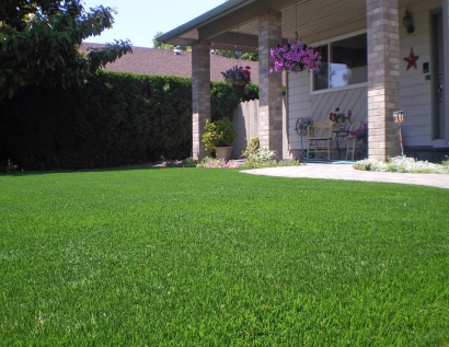 Grass Turf New Berlin, Wisconsin Paver Patio, Front Yard Ideas