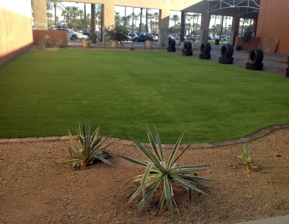 Grass Turf Oakton, Virginia Design Ideas, Commercial Landscape